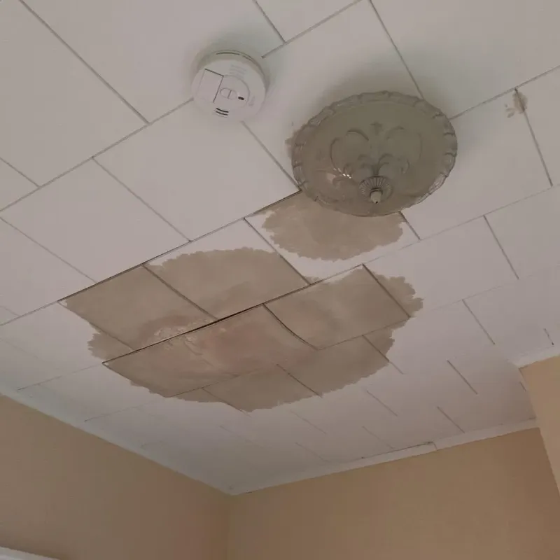 Ceiling Water Damage Repair in El Campo, TX
