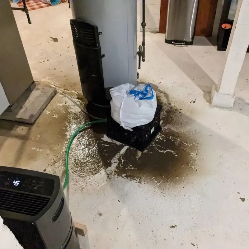 Sewage Backup Cleanup Service in El Campo, TX